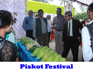 Piskot Festival
