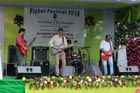 A band performing at the Piskot Festival